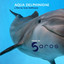 Aqua Delphinidae Albumcover