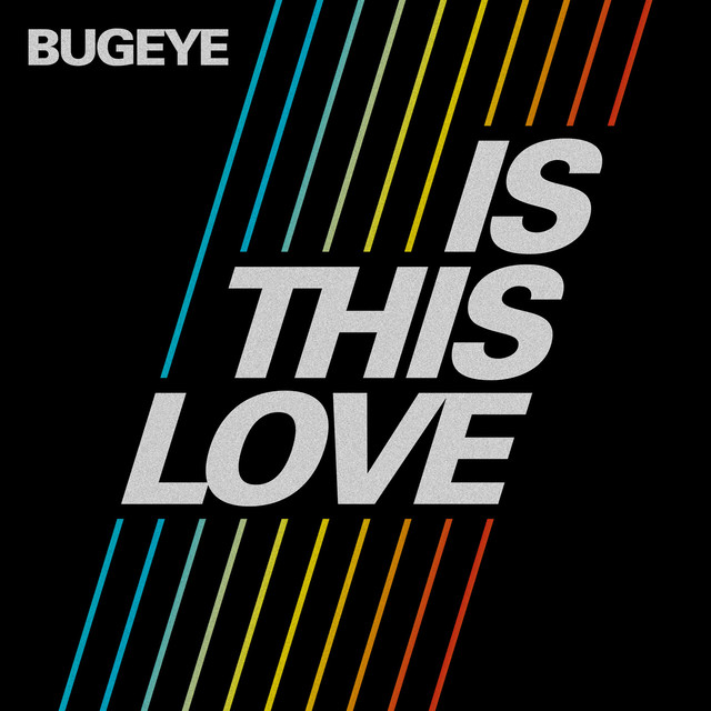 Is This Love cover