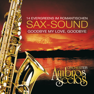 Goodbye My Love, Goodbye cover