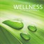 Wellness - Sanfte Symphonie Albumcover