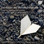 Die Kinder des Monsieur Mathieu cover