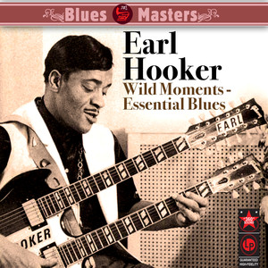 Wild Moments - Essential Blues album