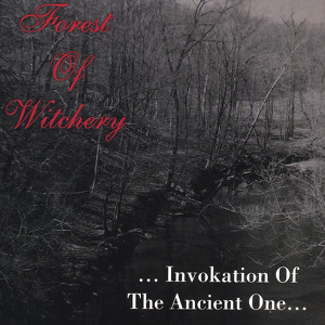 Forest Of Witchery
