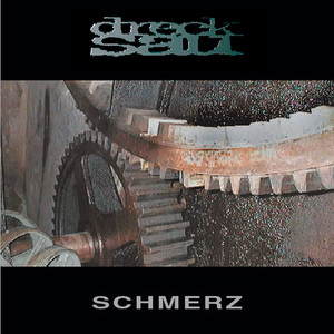 Schmerz cover