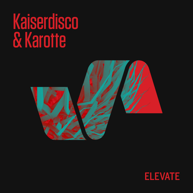 Karotte photo