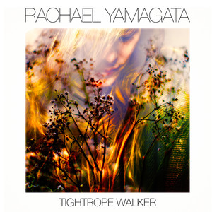 Tightrope Walker album