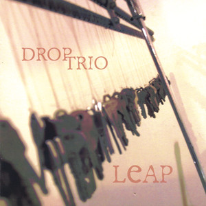 Leap cover