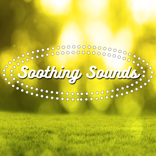 Soothing Sounds (Rain) Albumcover