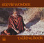 Talking Book cover