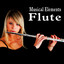 Musical Elements – Flute Sound Effects Albumcover