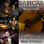 El Niño de las Habicas: Master of Flamenco Albumcover