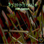 Symphonie Albumcover