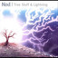 Tree Stuff and Lightning Albumcover