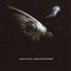 Home In The Universe Albumcover