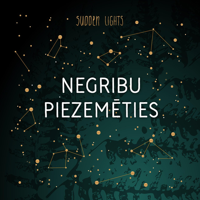 Negribu Piezemēties cover
