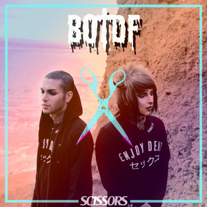 Scissors cover