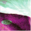 Five cover