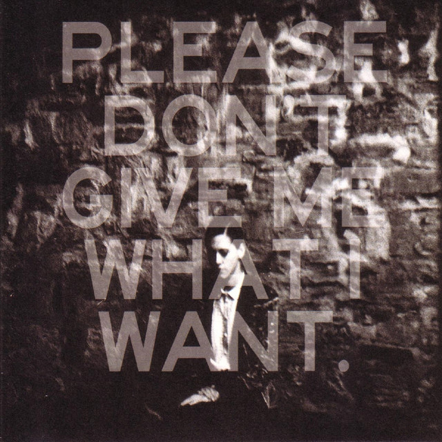 Please Don't Give Me What I Want cover
