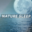 Nature Sleep cover