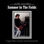 Summer in the Fields - Cigar Box Guitar Instrumentals Albumcover