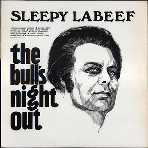 The Bull's Night Out cover