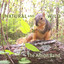 Natural and Wild cover