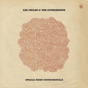 Special Night (Instrumentals) cover