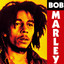 Bob Marley cover