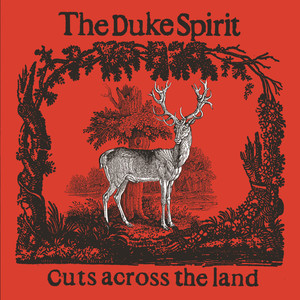 The Duke Spirit album