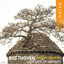 Beethoven: The Late Quartets, Op. 127 - 135 cover