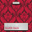 Silver Rain cover