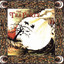 Splendor Solis cover