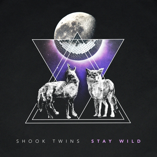 Stay Wild cover