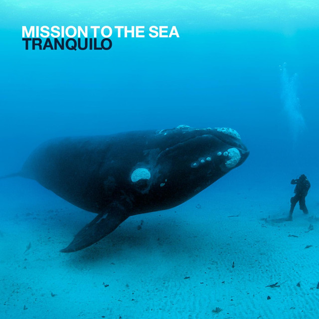 Mission To The Sea Photo