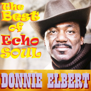 The Best of Echo Soul cover