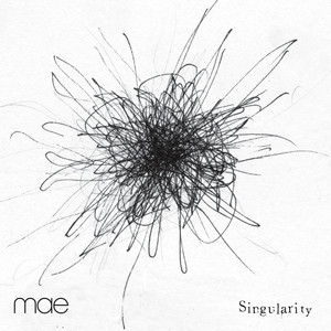 Singularity cover