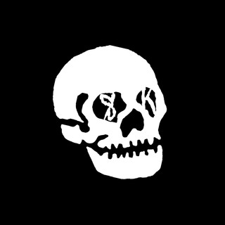 SKELETONKIDS Photo