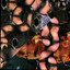 Origin of the Species Volume Too! cover
