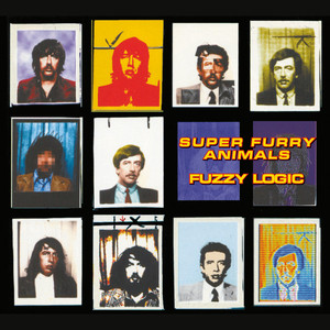 Fuzzy Logic cover