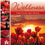 Wellness - Harmonie der Sinne Albumcover