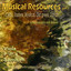 Musical Sources Part 1 Albumcover
