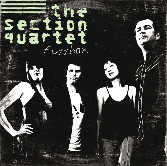 Fuzzbox cover