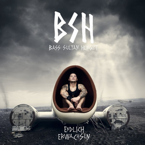 Endlich Erwachsen cover