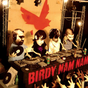 Birdy Nam Nam album