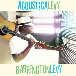 Acousticalevy cover