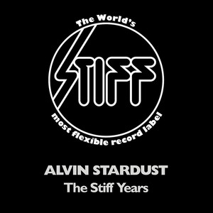 The Stiff Years cover