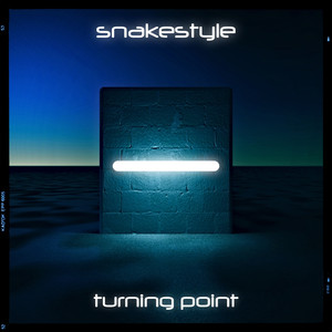 Snakestyle poster