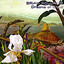 Dreams of Brazil Albumcover