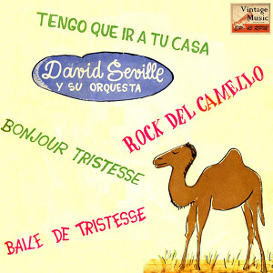 David Seville And His Orchestra