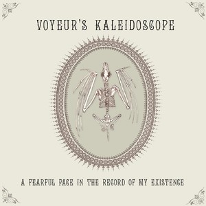 Voyeur's Kaleidoscope